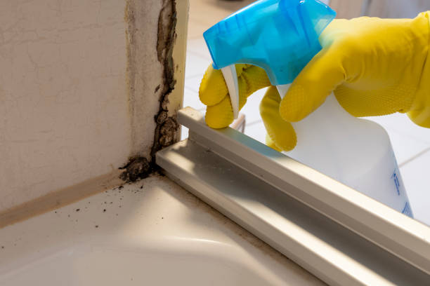 Best Toxic Mold Removal  in Lexington, OK