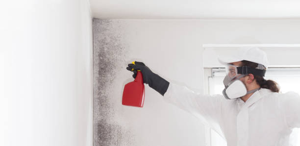 Best Commercial Mold Removal  in Lexington, OK