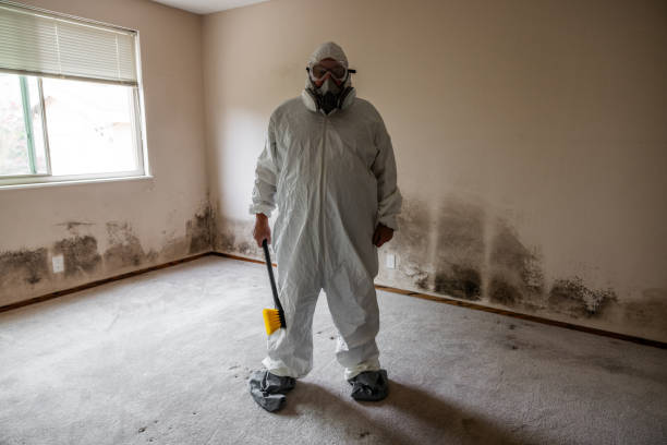 Best Fast Mold Removal  in Lexington, OK