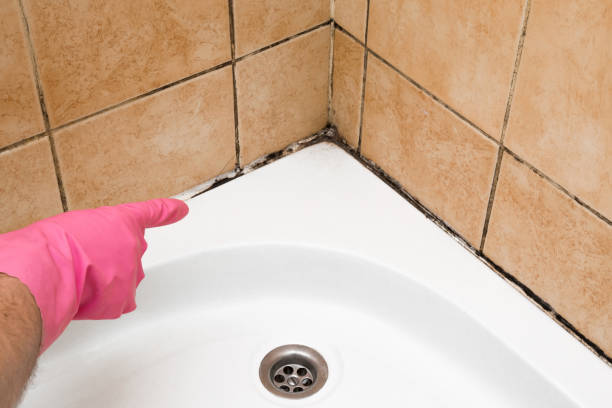 Best Toxic Mold Removal  in Lexington, OK